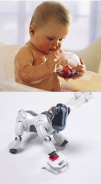 Developmental Robotics